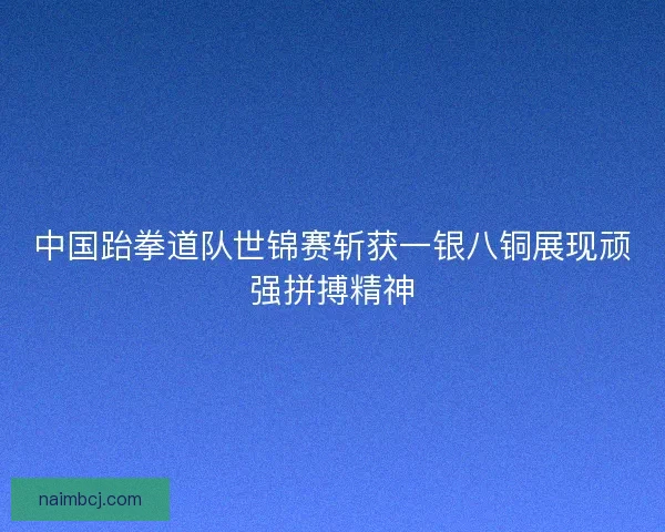 中国跆拳道队世锦赛斩获一银八铜展现顽强拼搏精神