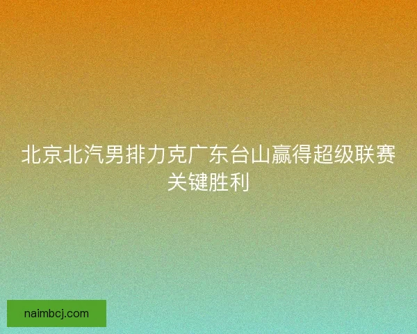 北京北汽男排力克广东台山赢得超级联赛关键胜利
